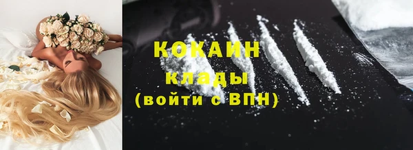 2c-b Алзамай