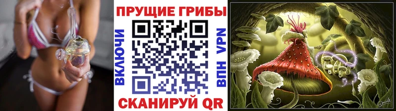 Псилоцибиновые грибы MAGIC MUSHROOMS  купить   Мензелинск 