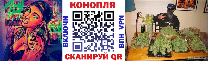 Каннабис AK-47 omg ссылки Мензелинск